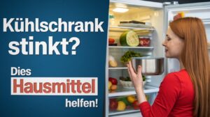 Kuehlschrank stinkt nach