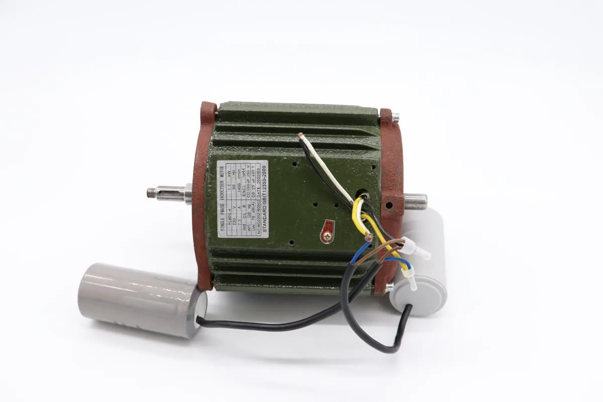 Maxima MMM22 – Compleet motor 09356307