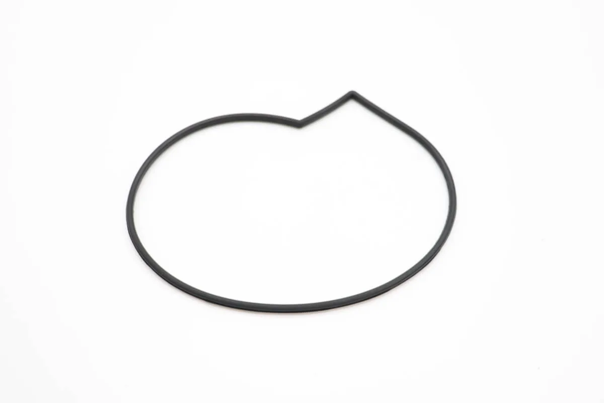 Maxima Vn500 Dichtung Pumpe (Groot) 09210538