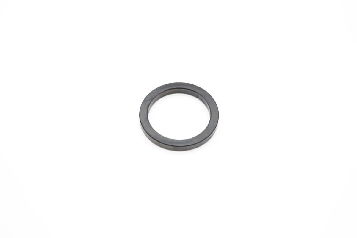 Maxima Filter Halter Dichtung 09100241