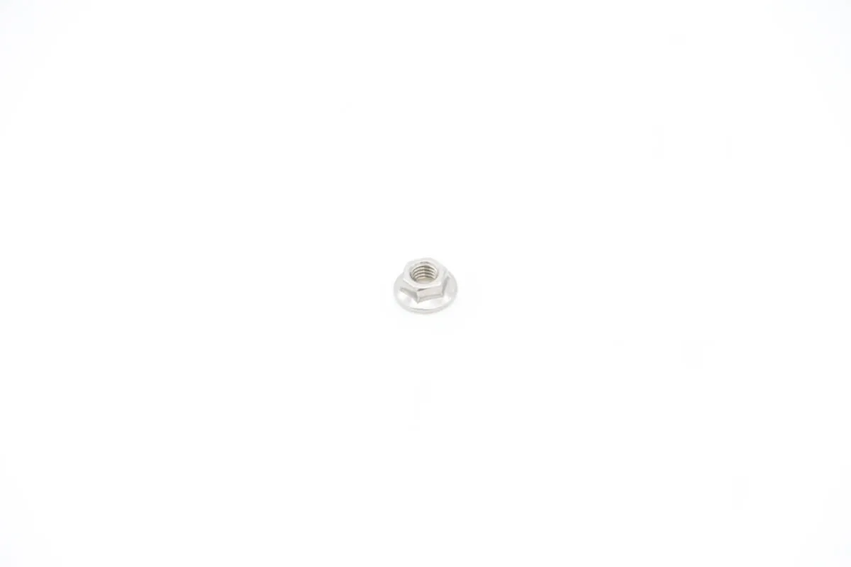Maxima VN500 – M5 Inox Mutter mit Flange für Tür Halterung Fuß 09200151