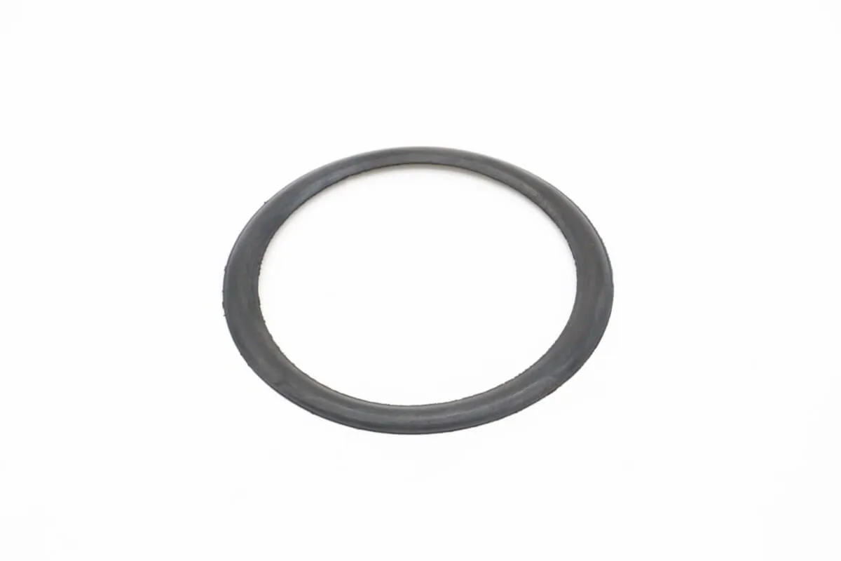 Maxima VN500/2000 – O-Ring für Filter Sockel (Flach) 09200248