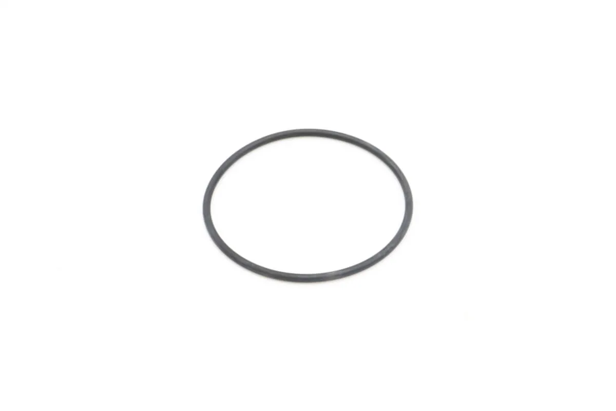 Maxima VN500/2000 – O-Ring für Filter Sockel 09200225