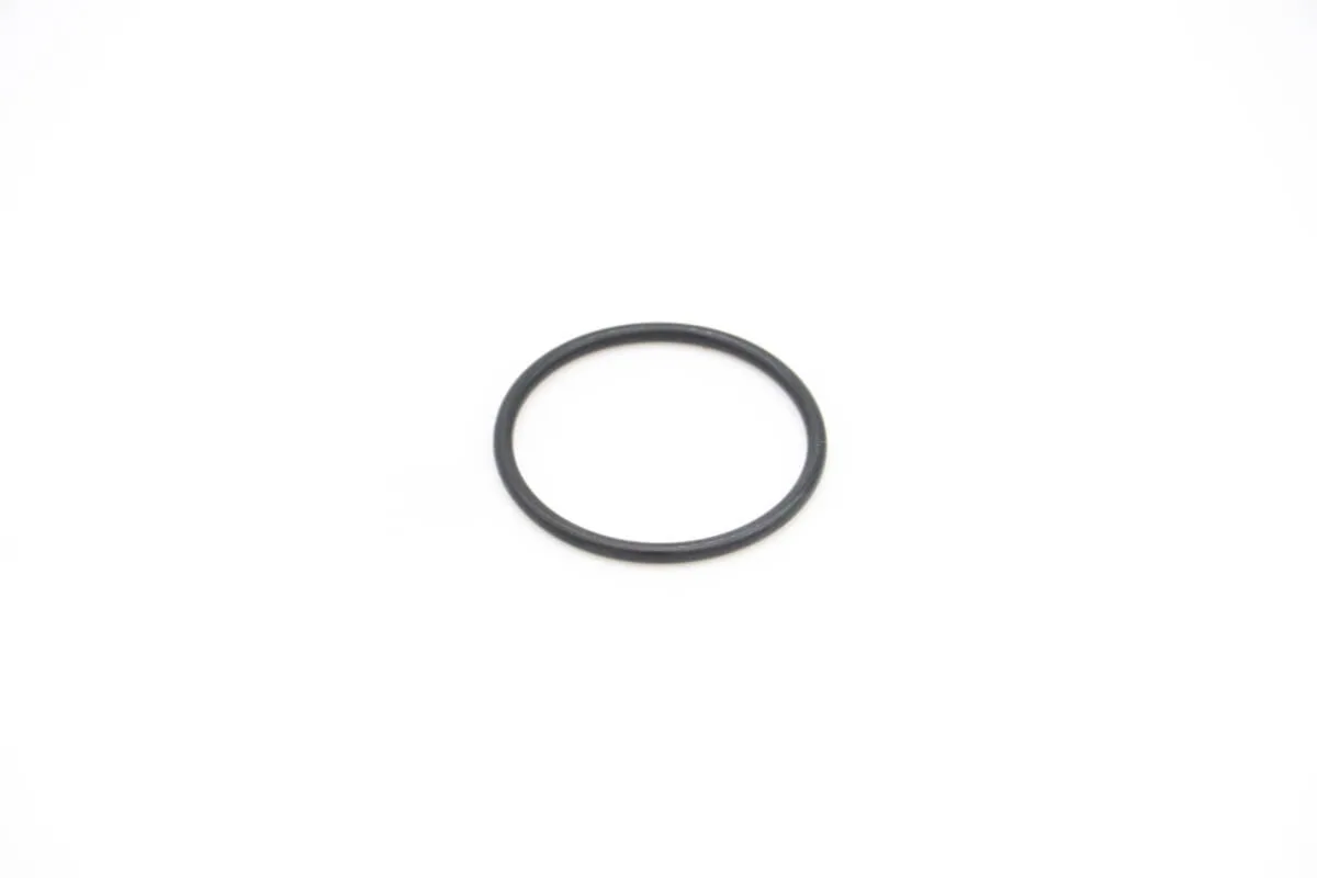 Maxima VN2000 – Gummiring Dichtung für Ablauf Stecker (>2020) 09200095