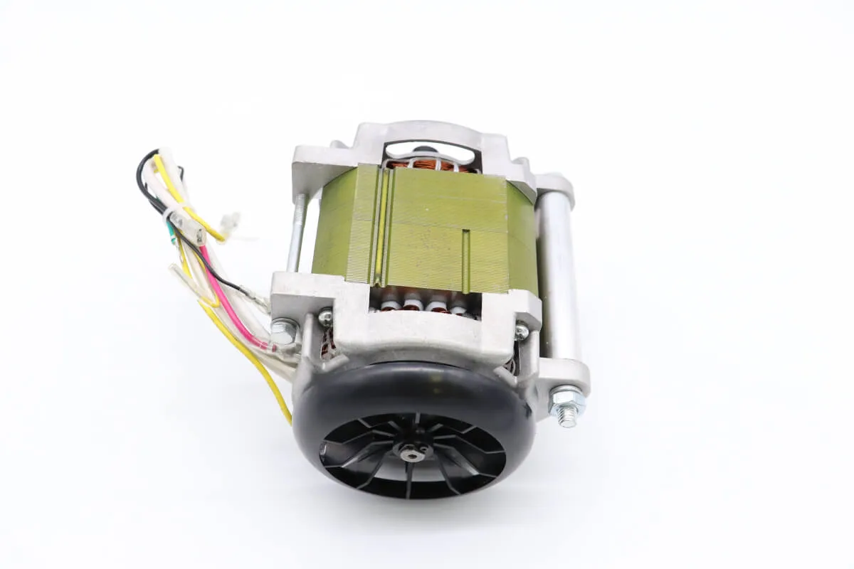 Maxima MS300 – Motor #58 09302155