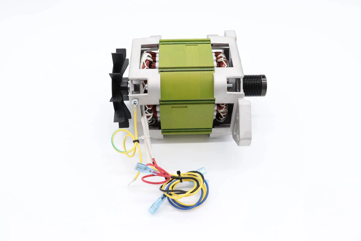 Maxima VC450 – Motor # 041 09301128