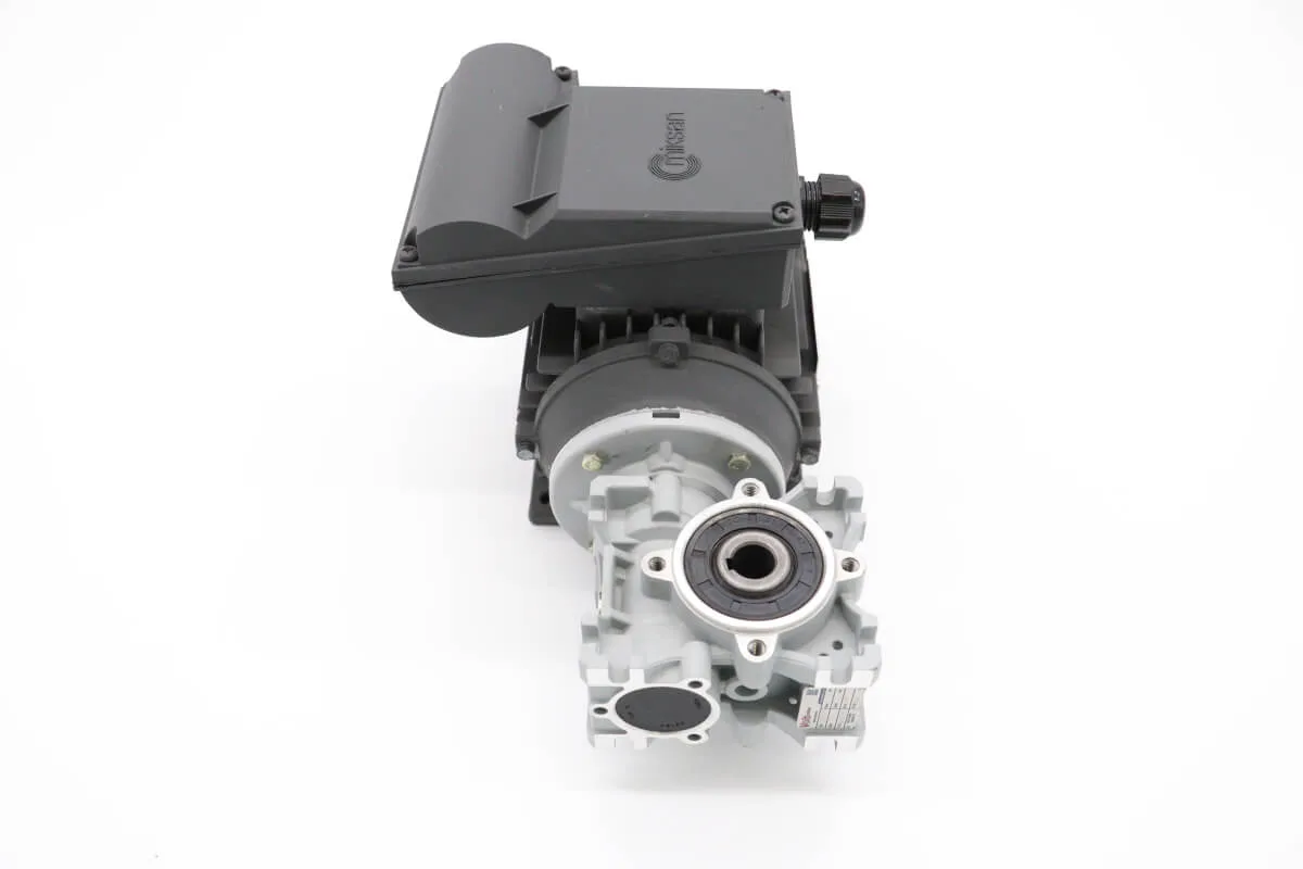 Maxima MGP5/8 – Motor (Motor) 09380013