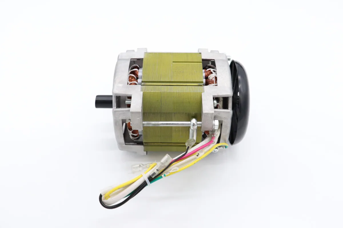 Weitere Ansicht: MS300 – Motor #58