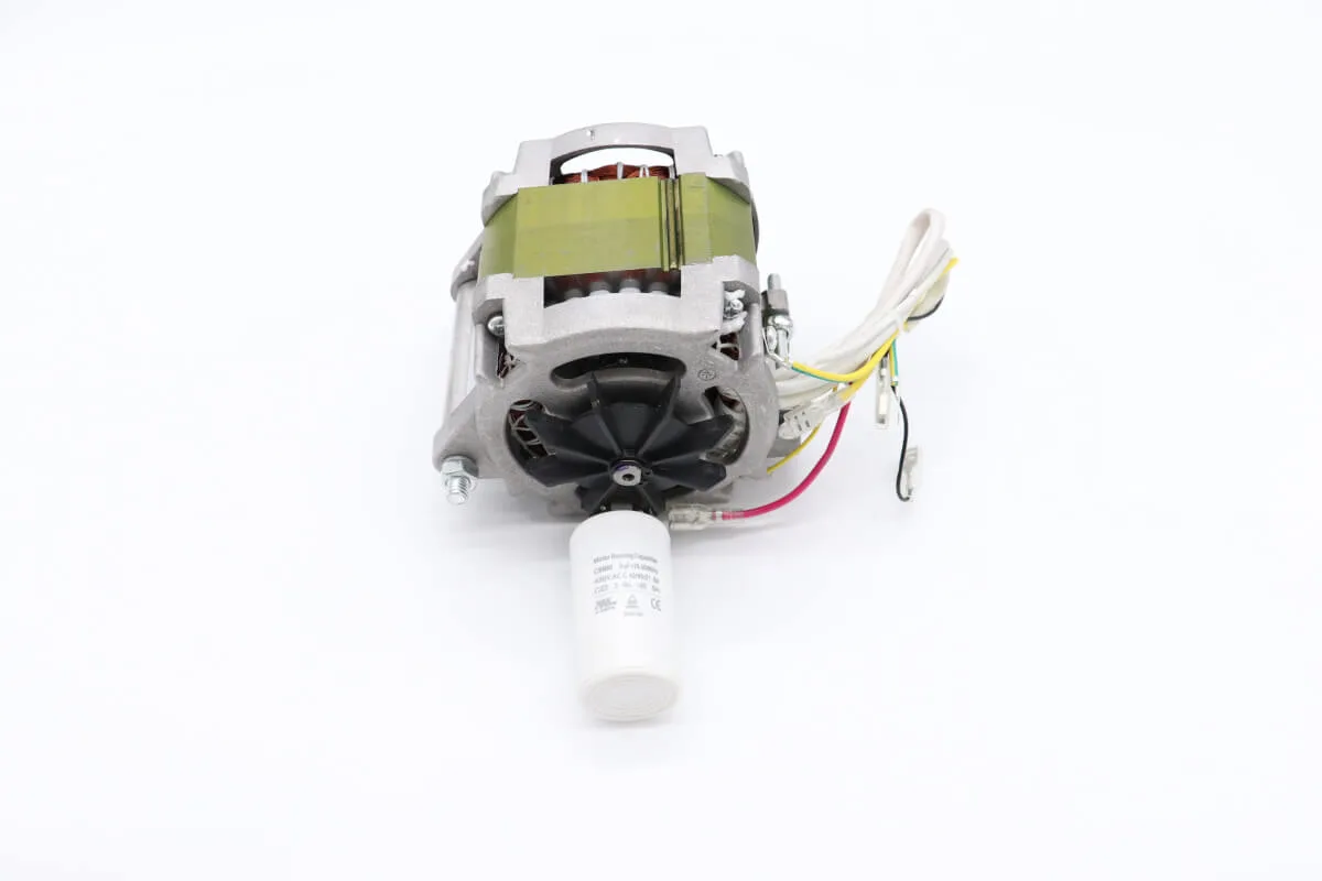 Maxima MS220 – Motor #58 09302178