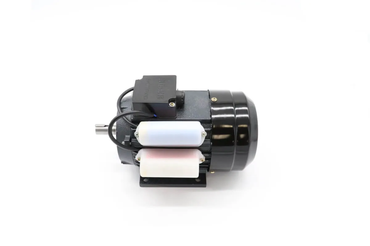 Maxima BRS – Motor #2 09373051