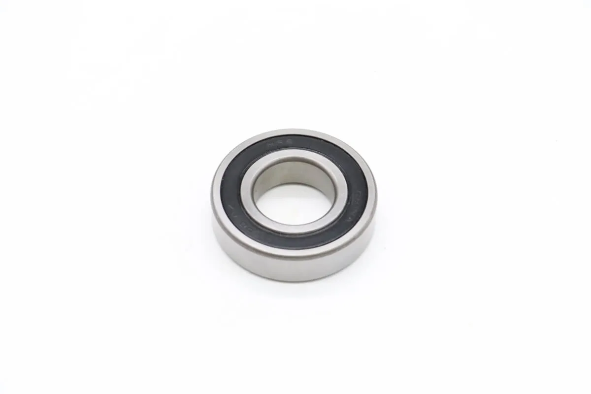 Maxima DPM20/30 – Lager 6206 (<2020) 09302713