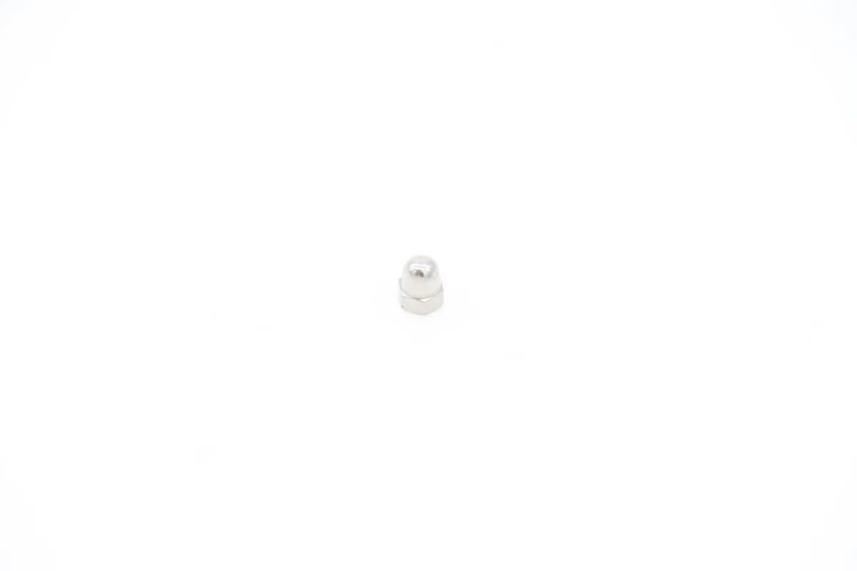 Maxima VN500 – M5 Inox Close-einde moer voor deur steun poot 09200152