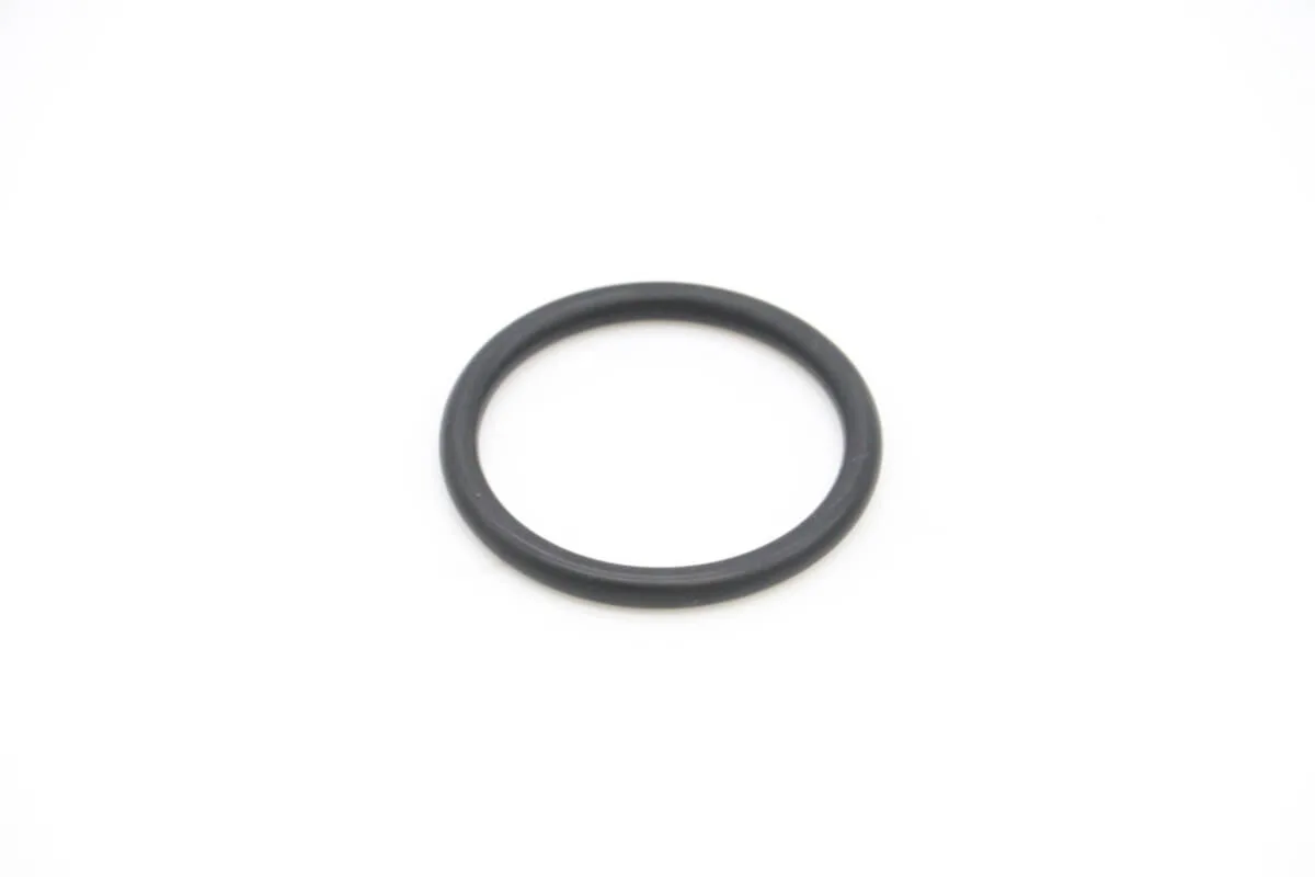 Maxima VN500/2000 – O-Ring für Heizelement Boiler 09200234