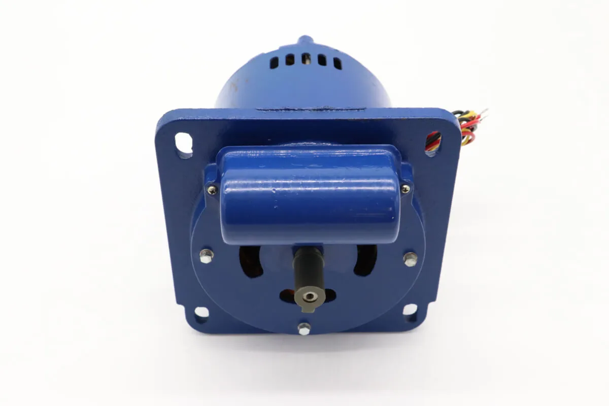 Maxima MPM40 – Motor (230V) 09305900