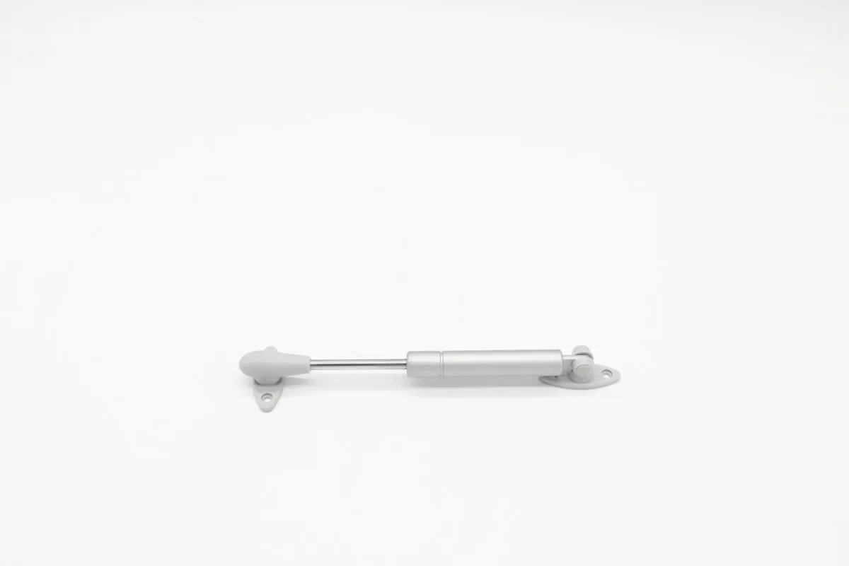 Maxima SC67 – Tür Arm 09400681
