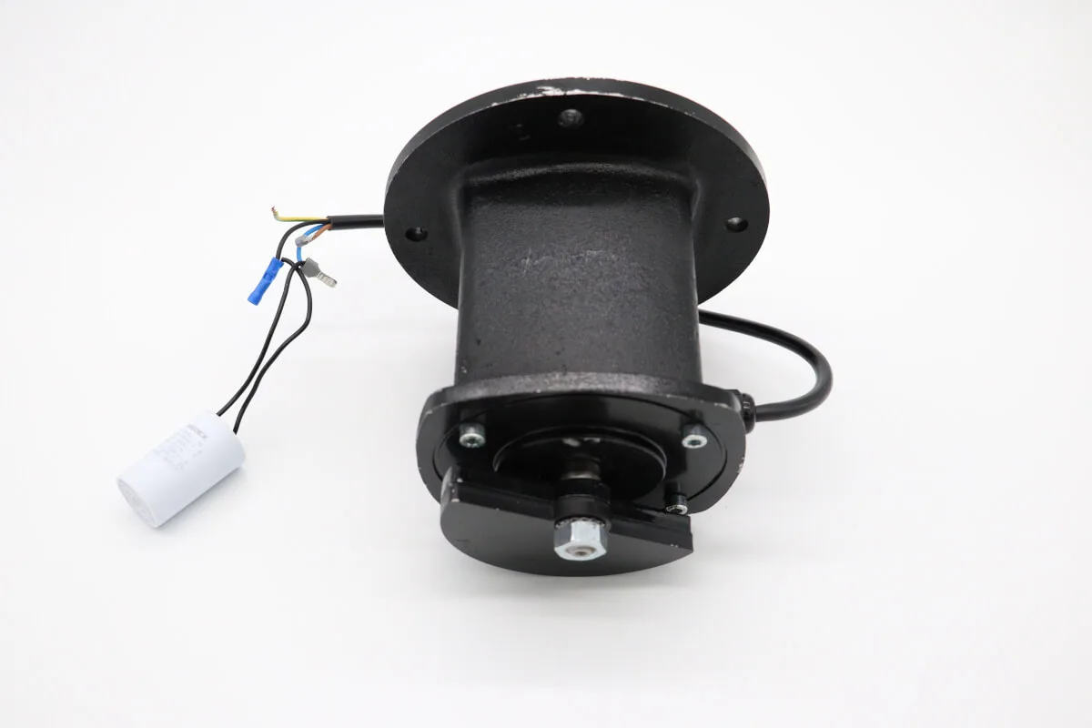 Maxima MCP – Vibration Motor 09380071