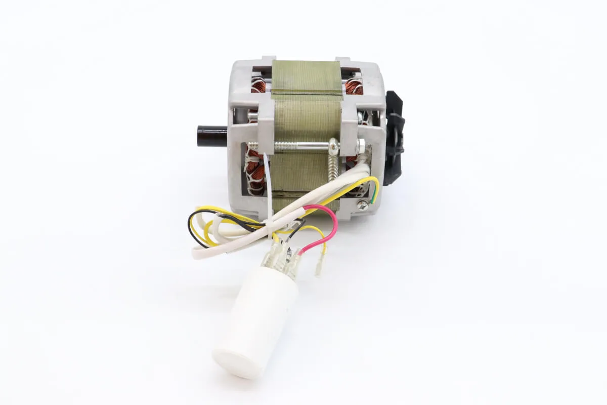 Maxima MS250 – Motor #58 09355200