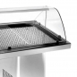 Preview: Gekühlte Fischvitrine 2.3 – Edelstahl, 0,25 kW, LED, fahrbar
