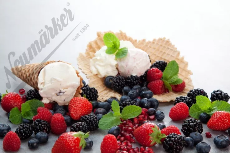 Eis-Waffel Backplattensatz | Backfläche 260 x 260 mm