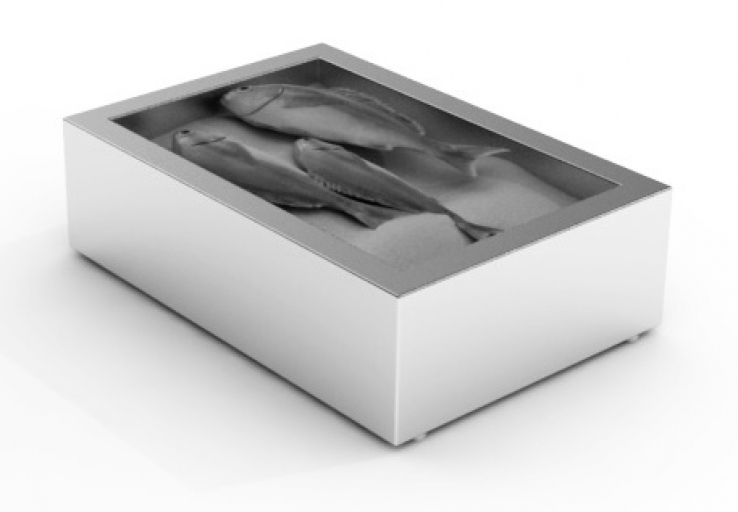 Gemahlenes Eis Behälter Aufbau 1/1 Gn