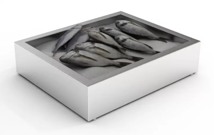 Gemahlenes Eis Behälter Aufbau 2/1 Gn