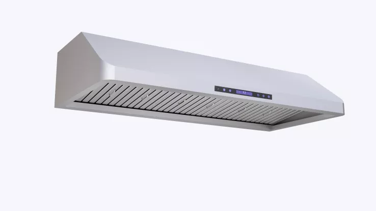 Wandhaube Edelstahl 1200