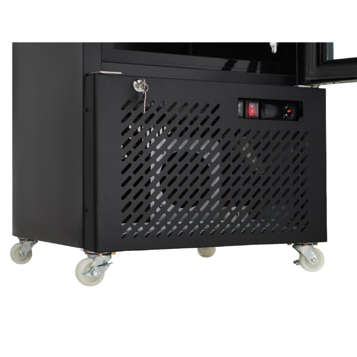 Tiefkühlschrank 1 Glastür Schwarz Nap-250F | Combisteel 7455.1930