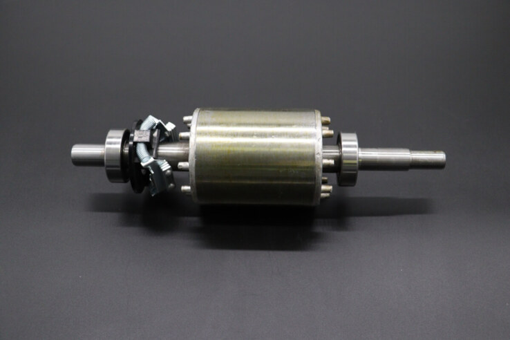 Maxima MPM10 – Motor (230V) · 09305719