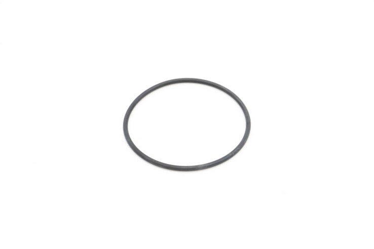 Maxima VN500/2000 – O-Ring für Filter Sockel 09200225