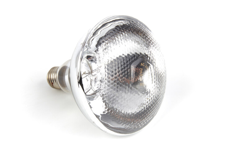 Maxima MHL – Lamp 09304651