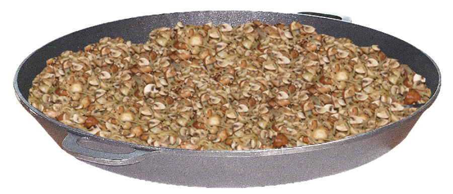 Grote pan Ø 800 mm