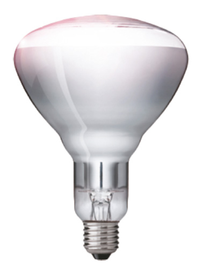 Lamp voor warmte-lampen
