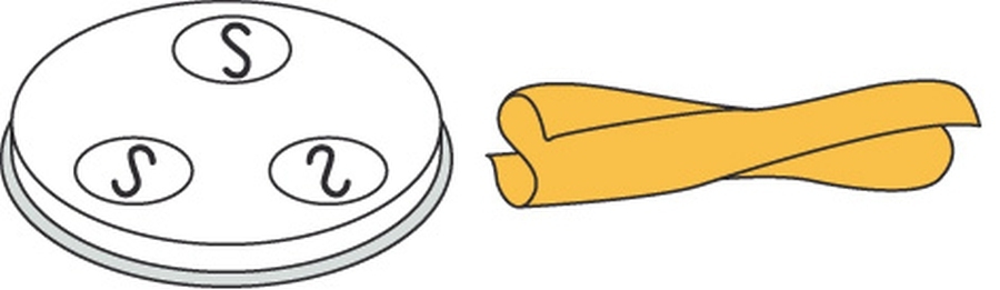 Pasta-Scheibe Ø 57 mm Casreccie für Nudelmachine PF25E/PF40E