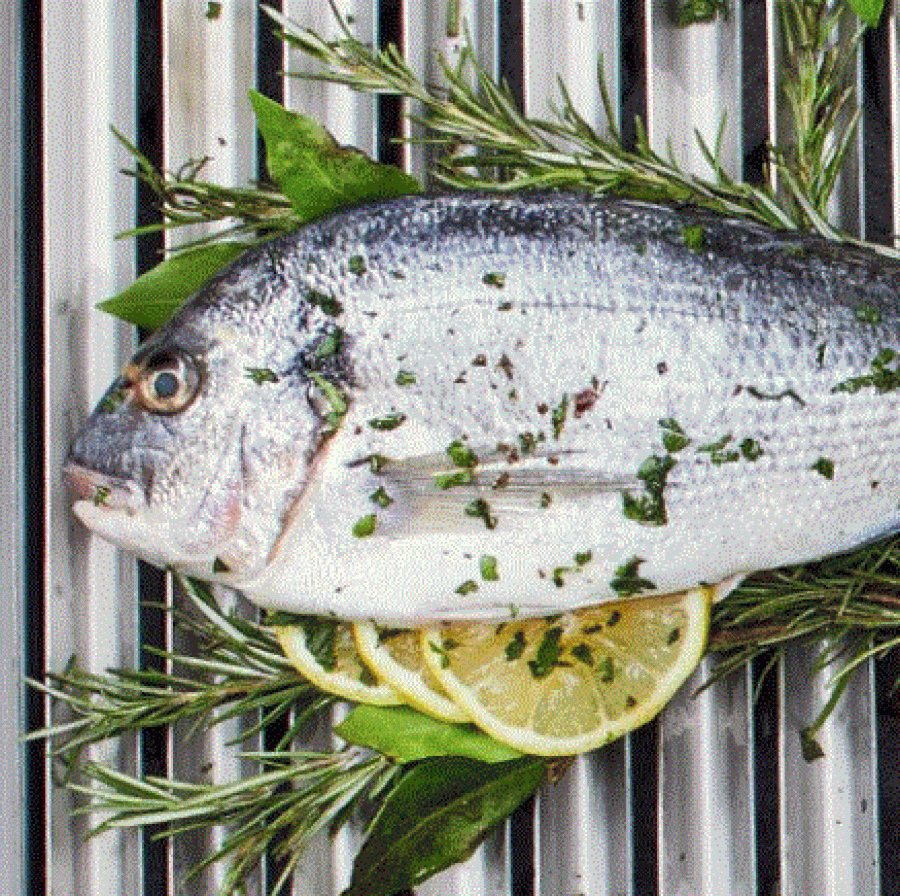 Gaslavasteengrill | Kookzone in roestvrij staal | Vlees/Vis
