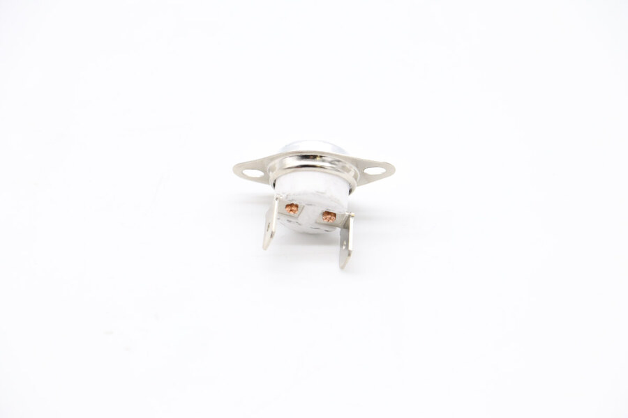Maxima Thermostat 15A/230C · 09506103