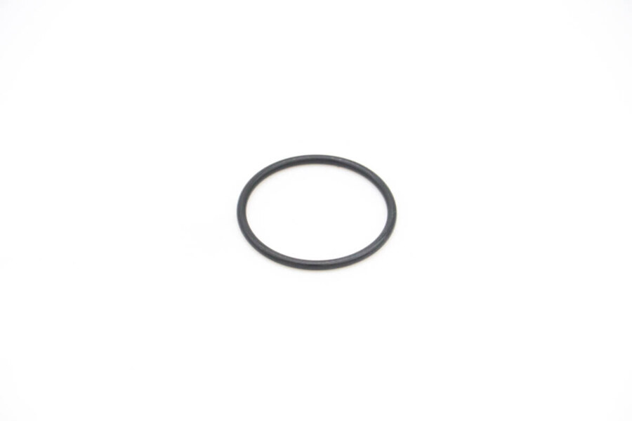 Maxima VN2000 – Gummiring Dichtung für Ablauf Stecker (>2020) 09200095