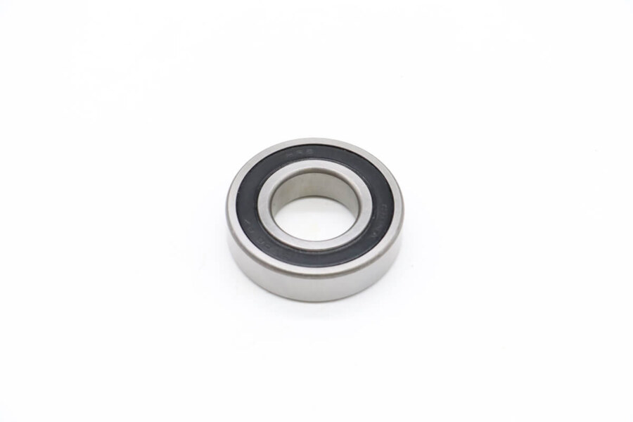 Maxima DPM20/30 – Lager 6206 (<2020) 09302713