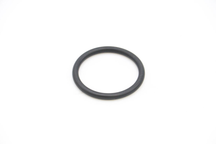 Maxima VN500/2000 – O-Ring für Heizelement Boiler 09200234