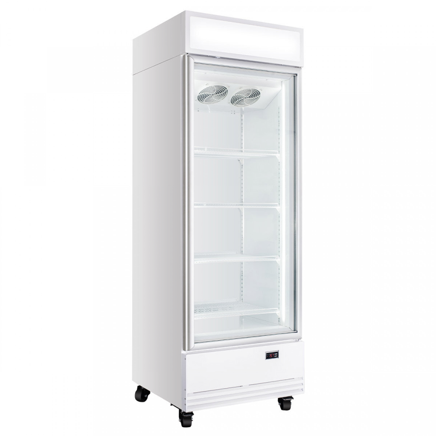 TOPLINE Getränkekühlschrank 570 Liter