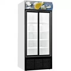 Kühlschrank Mit Doppelte Schiebeglastüren