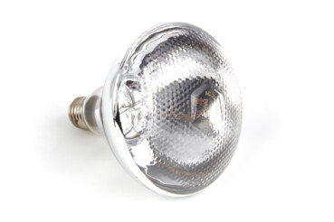 Maxima MHL – Lamp 09304651