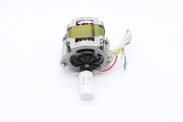 Maxima MS220 – Motor #58 09302178