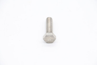 Maxima MS220/250/300 – Mutter für Hinten Platte #39 09302187