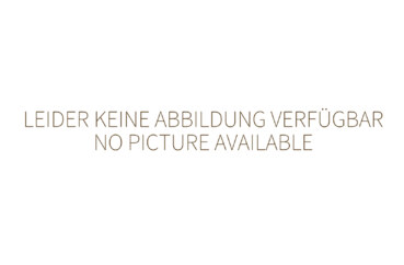 Neumärker Ersatz-Aktivkohlefilter 06-30602
