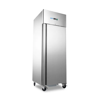 Gastro Gefrierschrank 700 Liter mit 3 verstellbaren 2/1-GN-Rosten