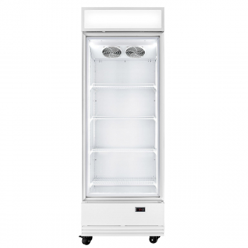 TOPLINE Getränkekühlschrank 570 Liter